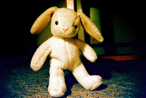 Velveteen Rabbit photo