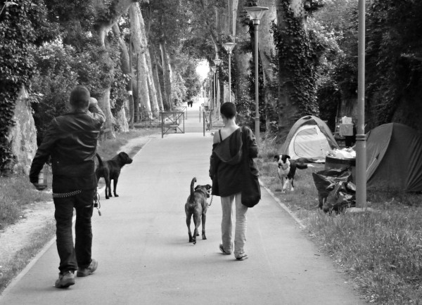 Street people and their dogs head back to the tents where they live along Toulouse's Canal du Midi