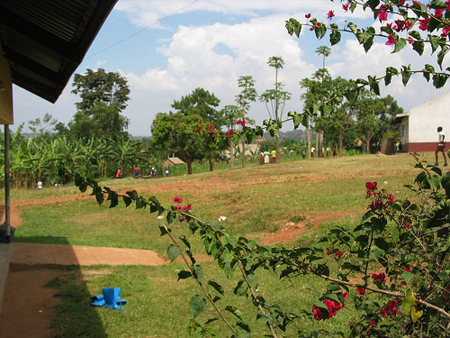 Image Image