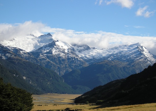 Image Image