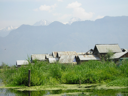 Image Image