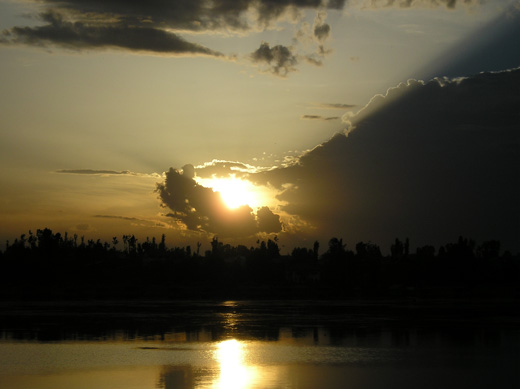Image Image