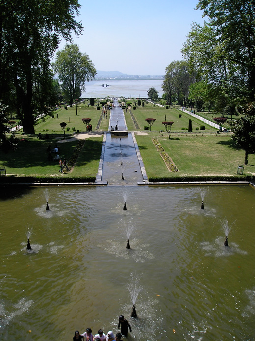 Image Image