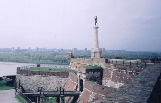 Image Image