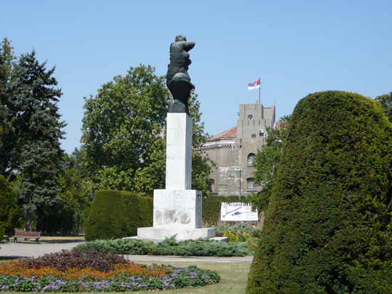 Image Image