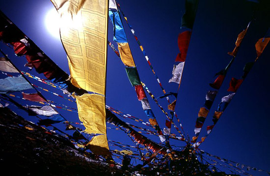 Image Image