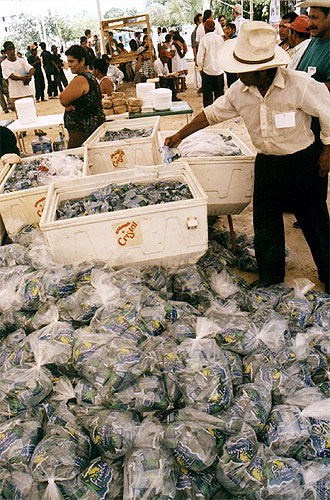 A man takes a bottle from a stack of coolers and plastic bags filled with water bottles