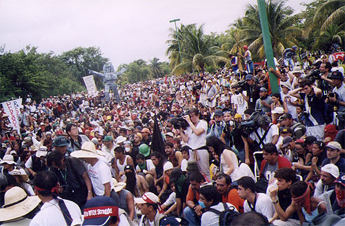 Crowd carrying signs, with a palm trees and a large puppet in the background