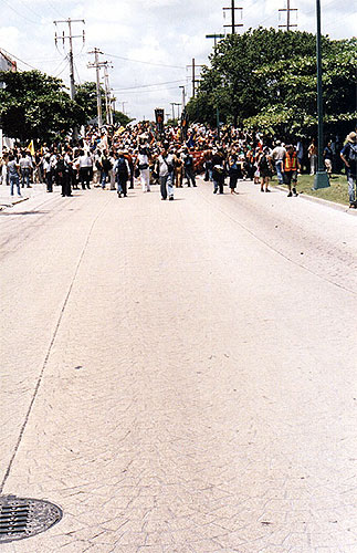 Large crowd walking down the street