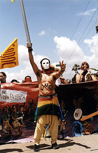 Man wearing white mask and carrying flag