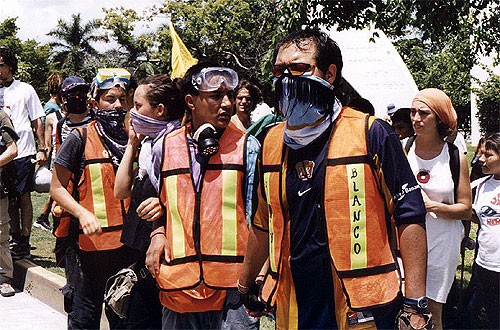 A group of students wearing orange vests