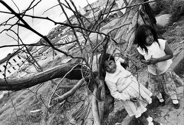 Two young girls standing under a leafless tree