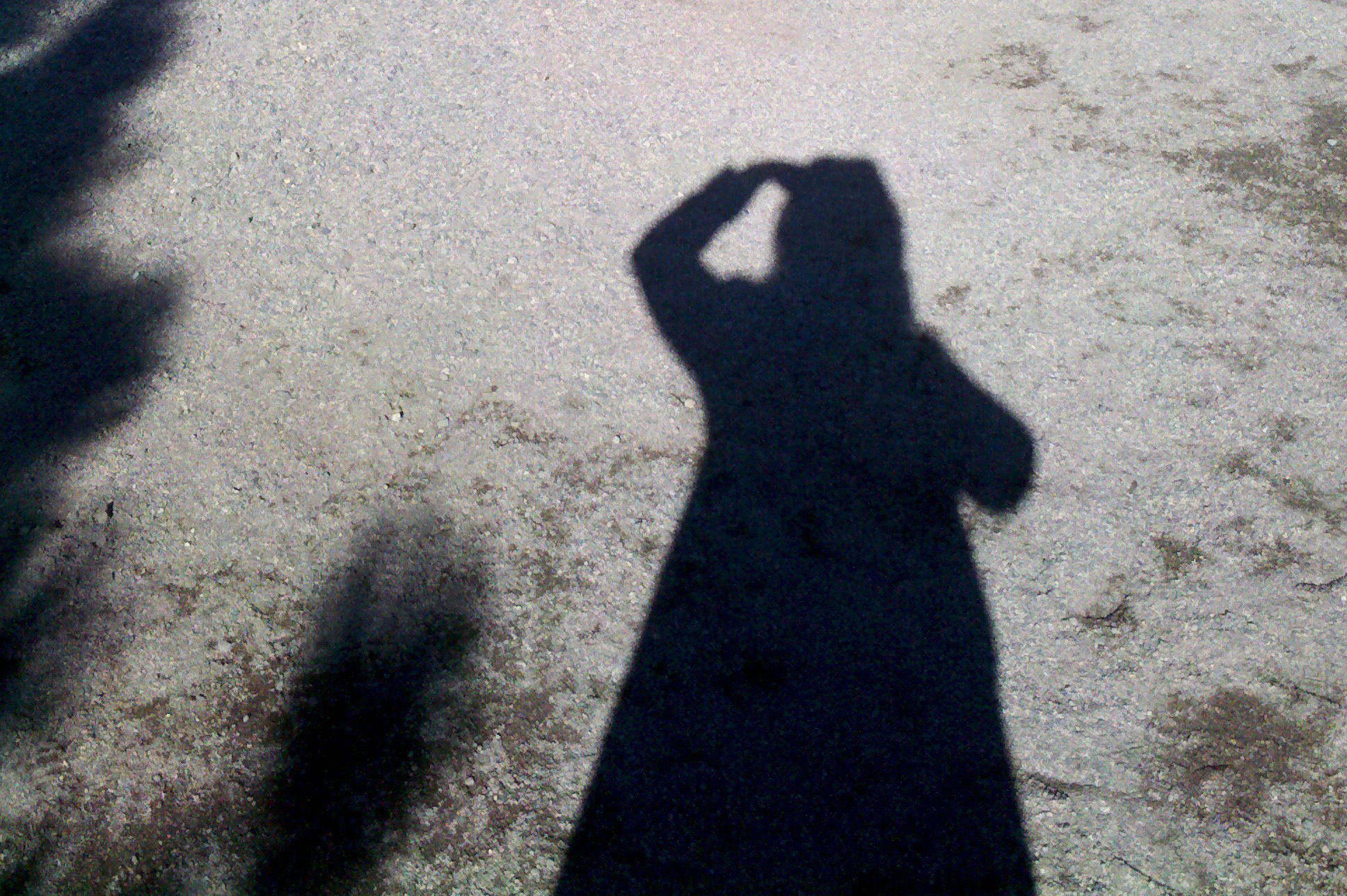 a photo of the writer's shadow