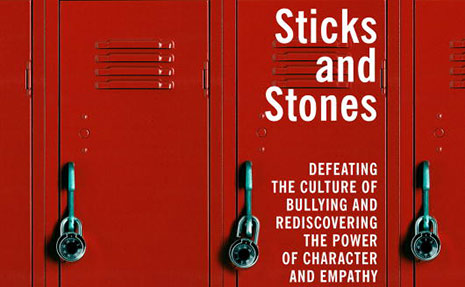 Sticks and Stones, book cover