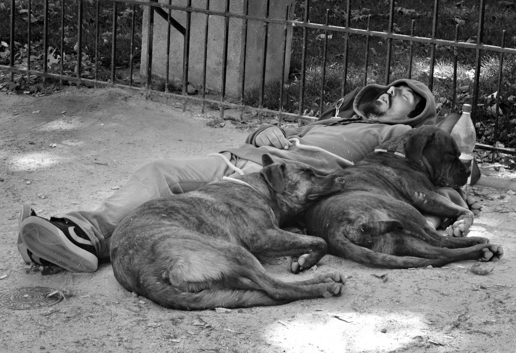 A street person cuddles with two dogs in his sleep