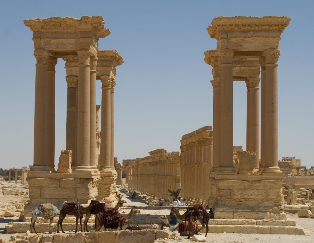 Camels in front of Great Colonnade